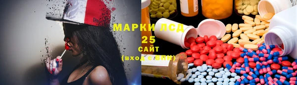 ECSTASY Бородино