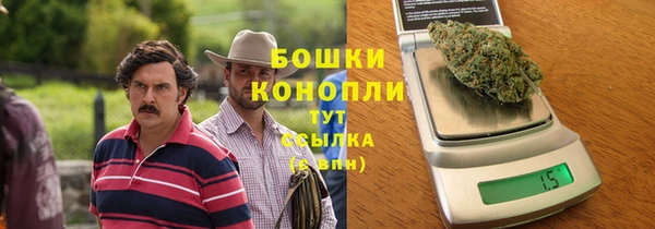 гидра Бронницы