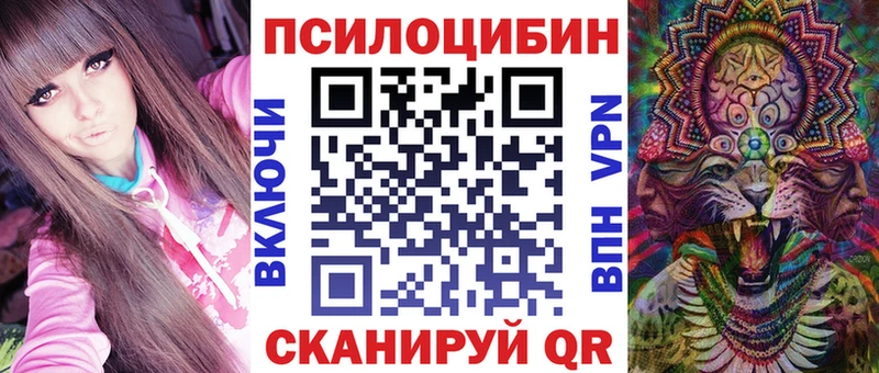 blacksprut зеркало  Шуя  Галлюциногенные грибы Psilocybine cubensis 